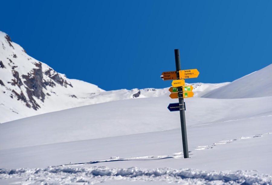 Like travelers who reach this sign post, Friends students picking classes have lots of choices.