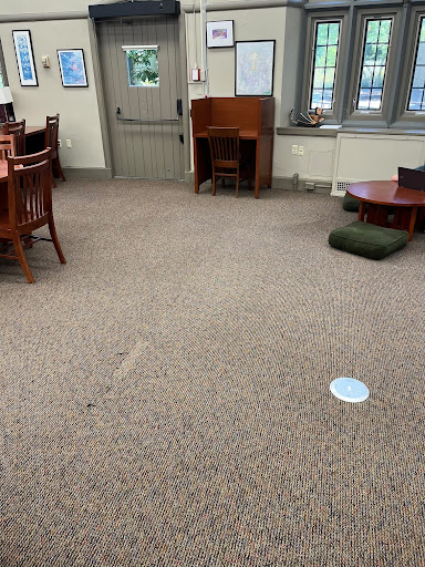 A few sad cushions lie on the library floor - painful reminders of the comfy chairs that used to reside there.