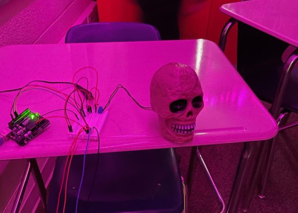 A plastic skull greeted visitors to the computer science haunted house - then jumped at them when they got too close.