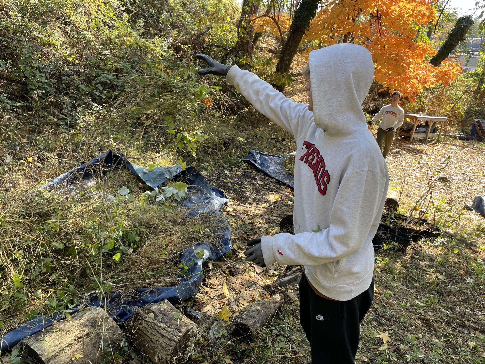 Friends School of Baltimore 10th grader Jacob Batho disposes of weeds as part of an effort to clear out an area to plant new, better plants in Stillmeadow Peace Park.
