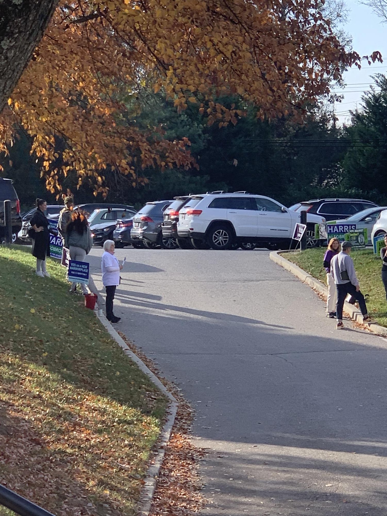 Activists and signs lined a driveway between parking lots, hoping to persuade voters who remained undecided.