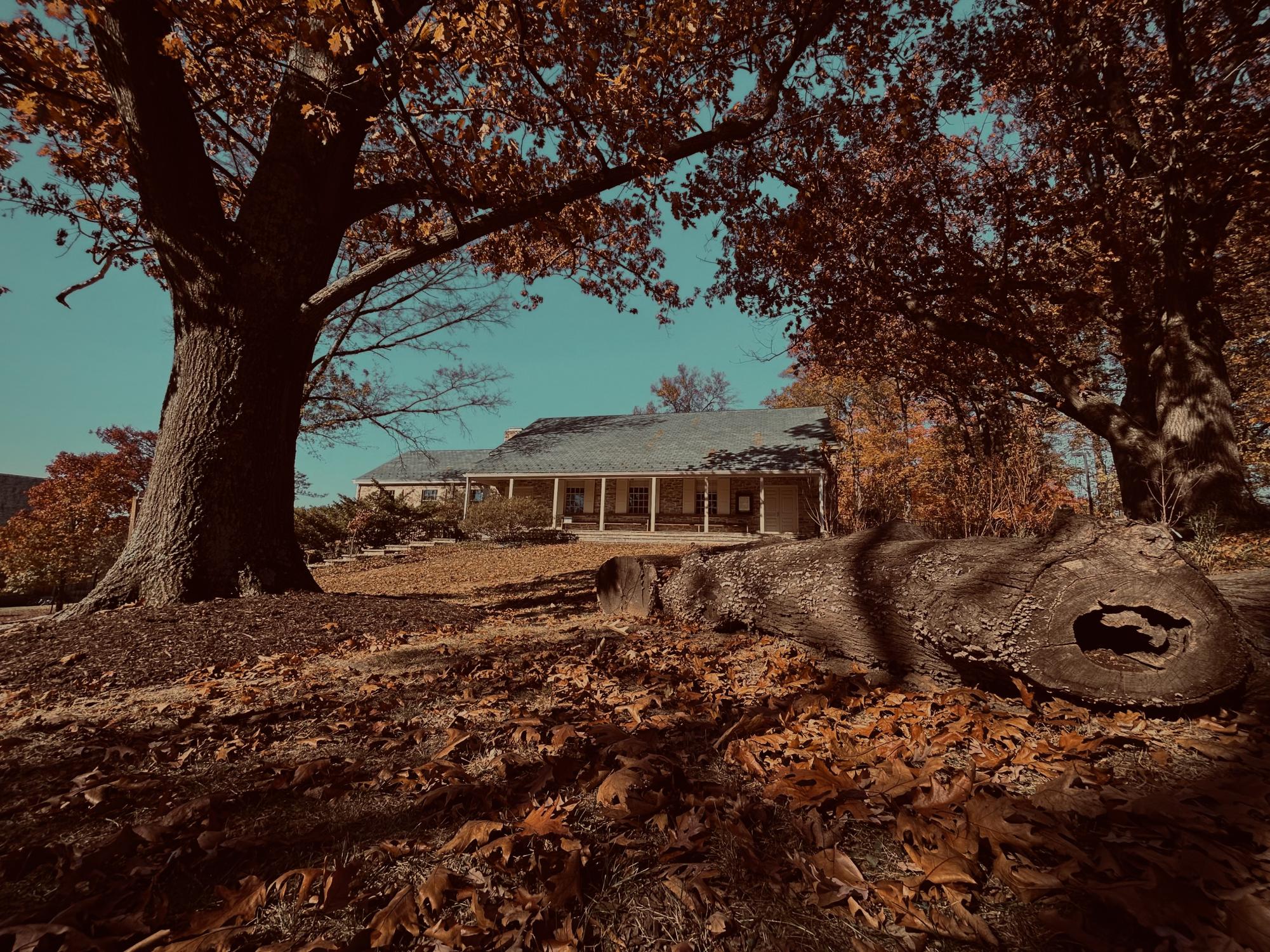 In the Stony Run Friends Meetinghouse, at the northeast corner of campus, Friends students are often asked to contemplate the Quaker idea that there is "that of God" in everyone.